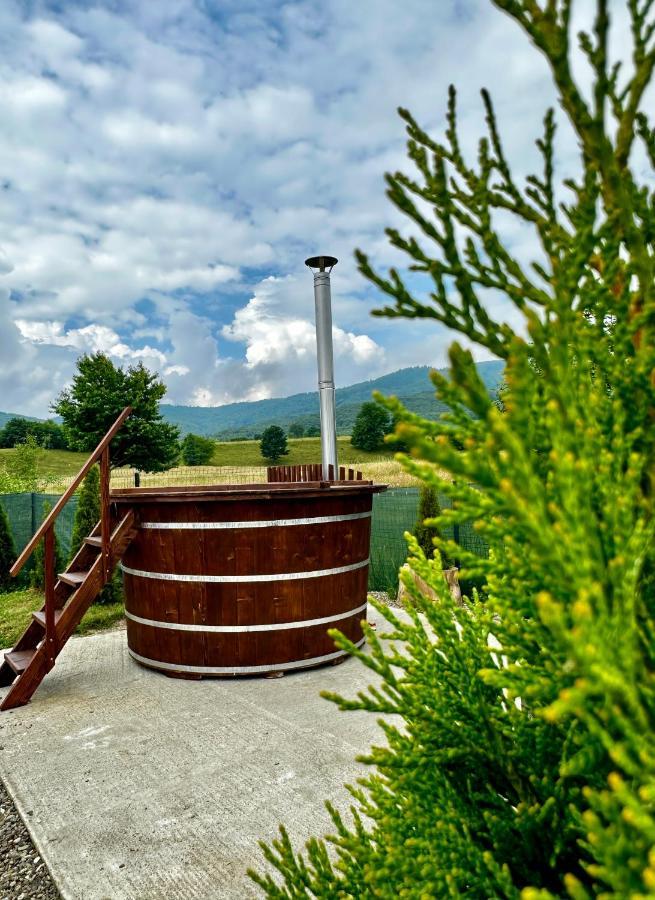 A-Frame Bucovina- Paradis Bucovinean Capu Cîmpului Exterior foto